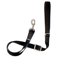 Petmate Adjustable Dog Leash